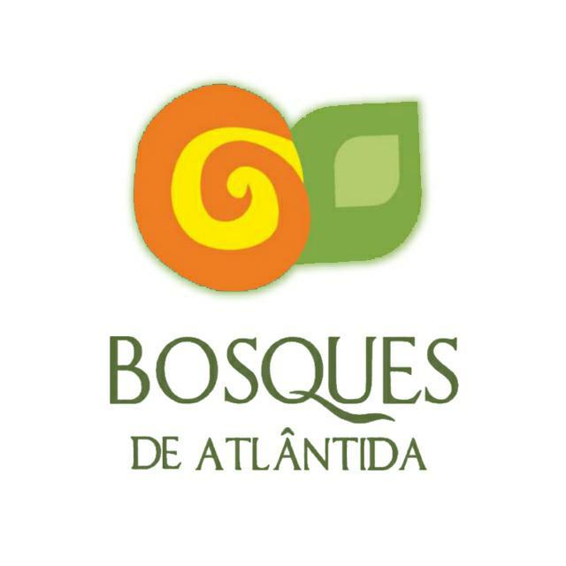 BOSQUES DE ATLANTIDA